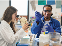 Research Experience Opportunity available to students in Summer 2026