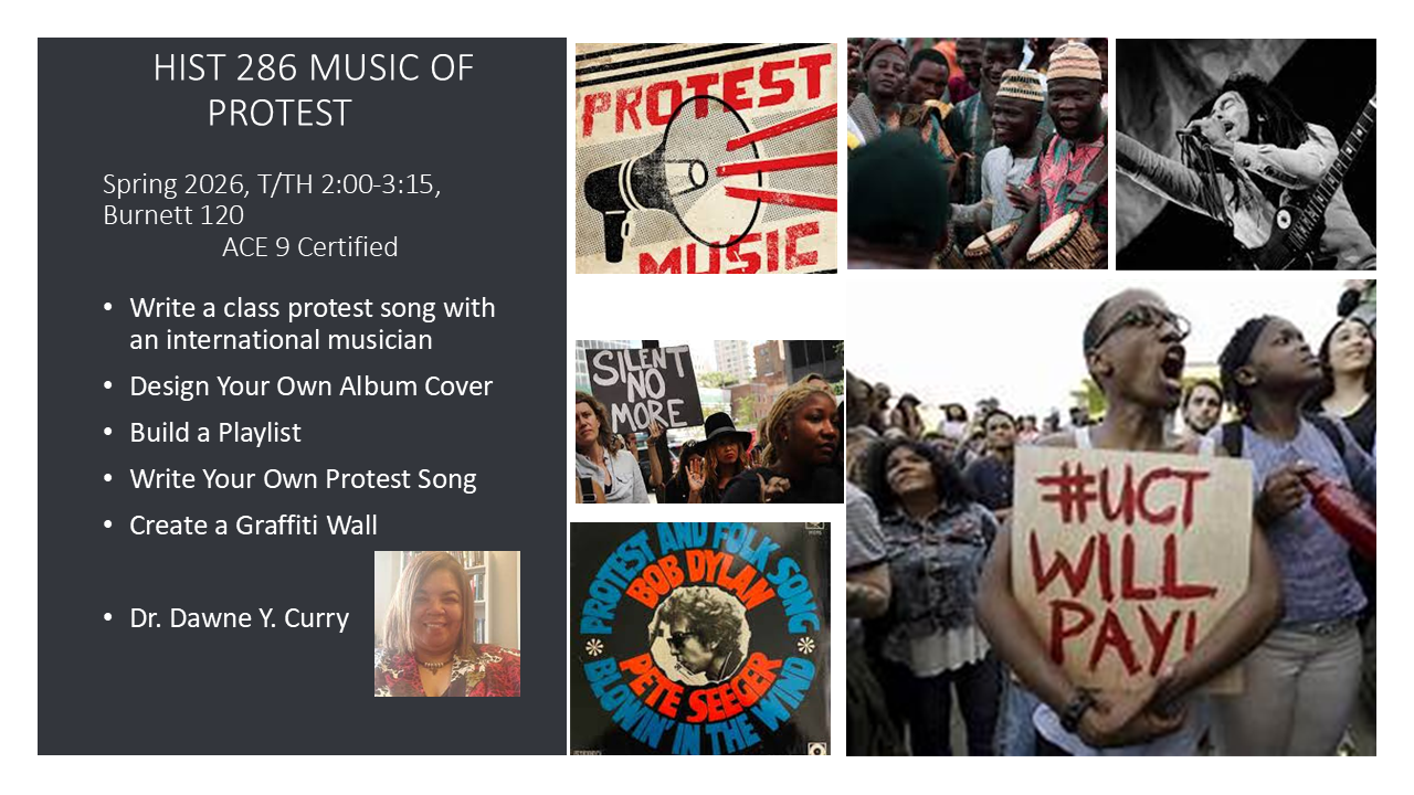 images of musicians and audience members at concerts