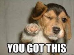 You Got This and picture of a dop.