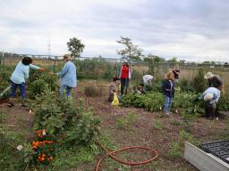 Master Gardeners working in the People&rsquo;s City Mission garden.