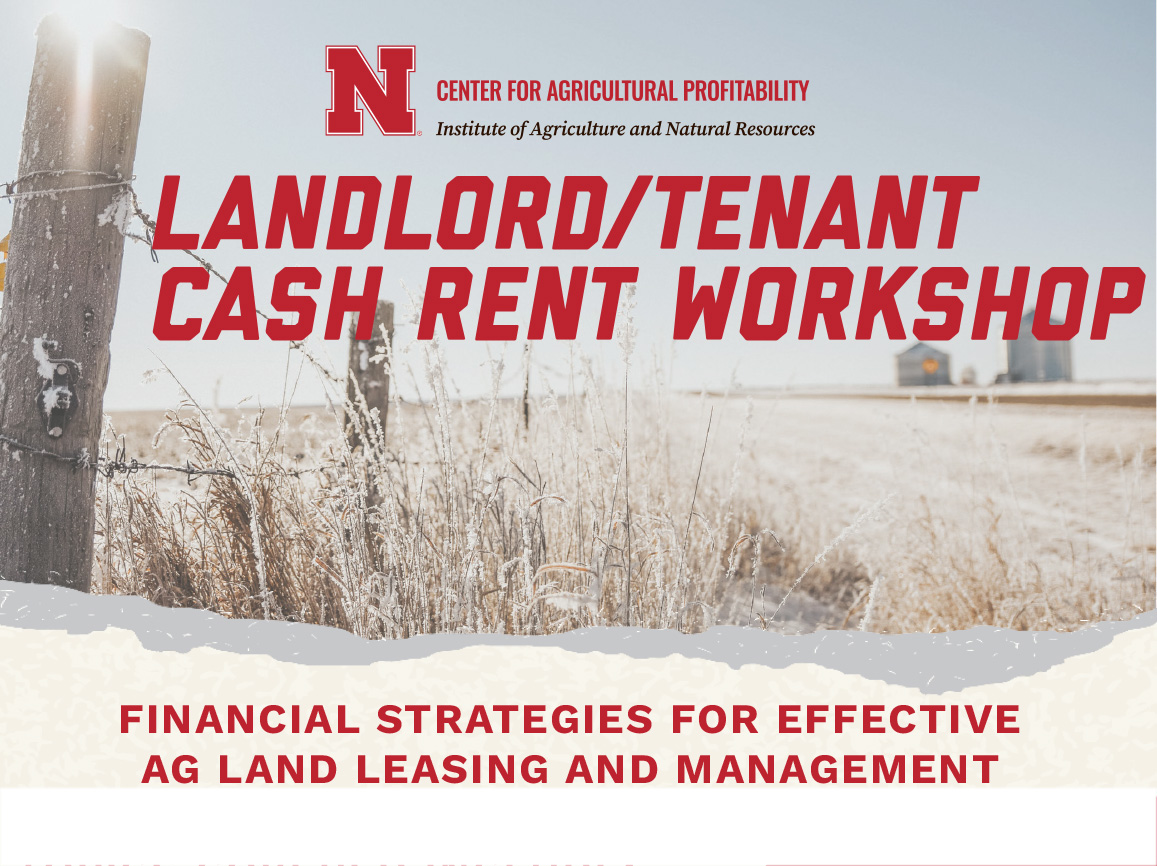 2025-2-10_lincoln-cash-rent-workshop_flyer for enews.jpg