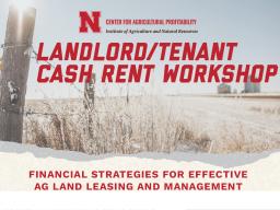 2025-2-10_lincoln-cash-rent-workshop_flyer for enews.jpg