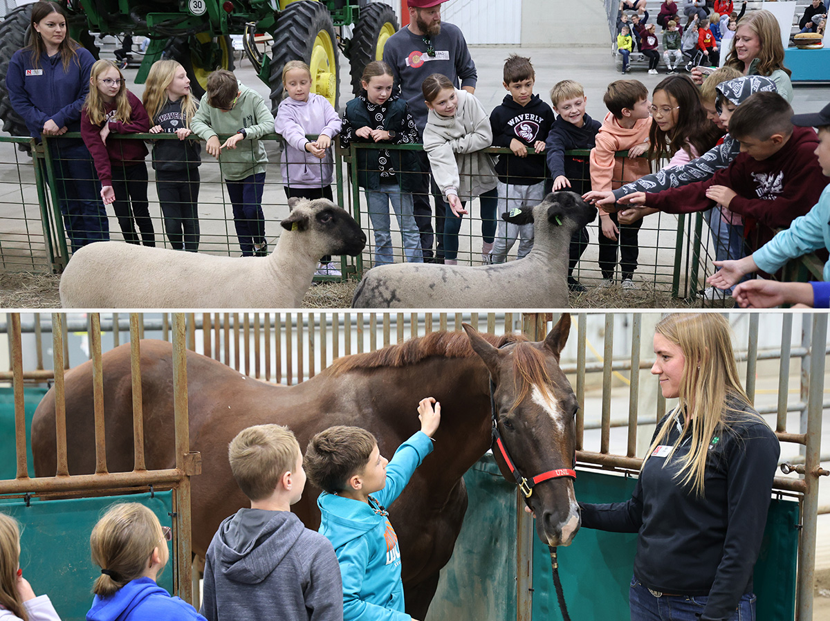 Extension Associate Elizabeth Thiltges presented the sheep session (top photo). Extension Associate Kate Pulec presented the horse session (bottom photo).