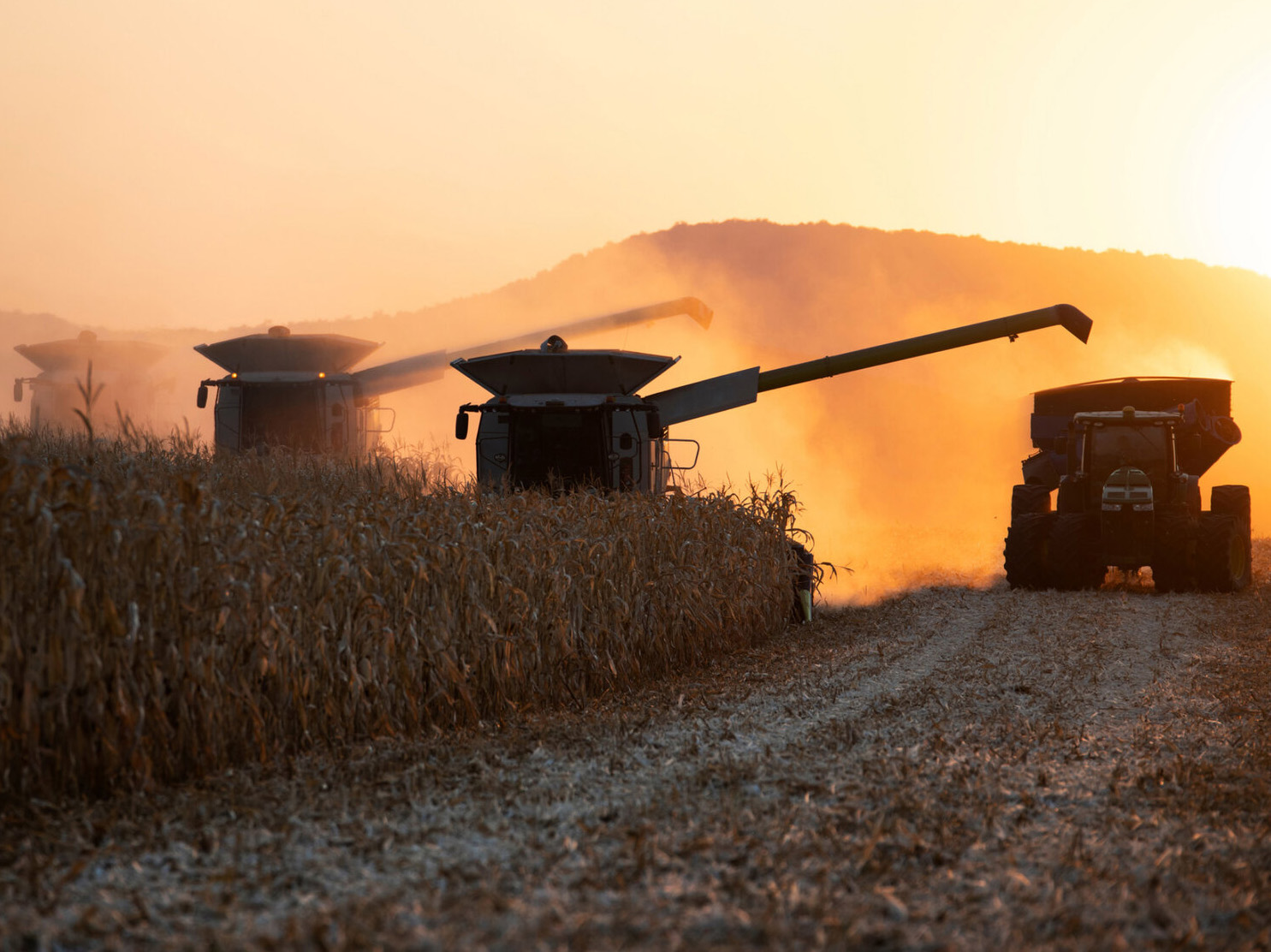 corn-harvesting-cpc-2026-16x9-1200.jpg