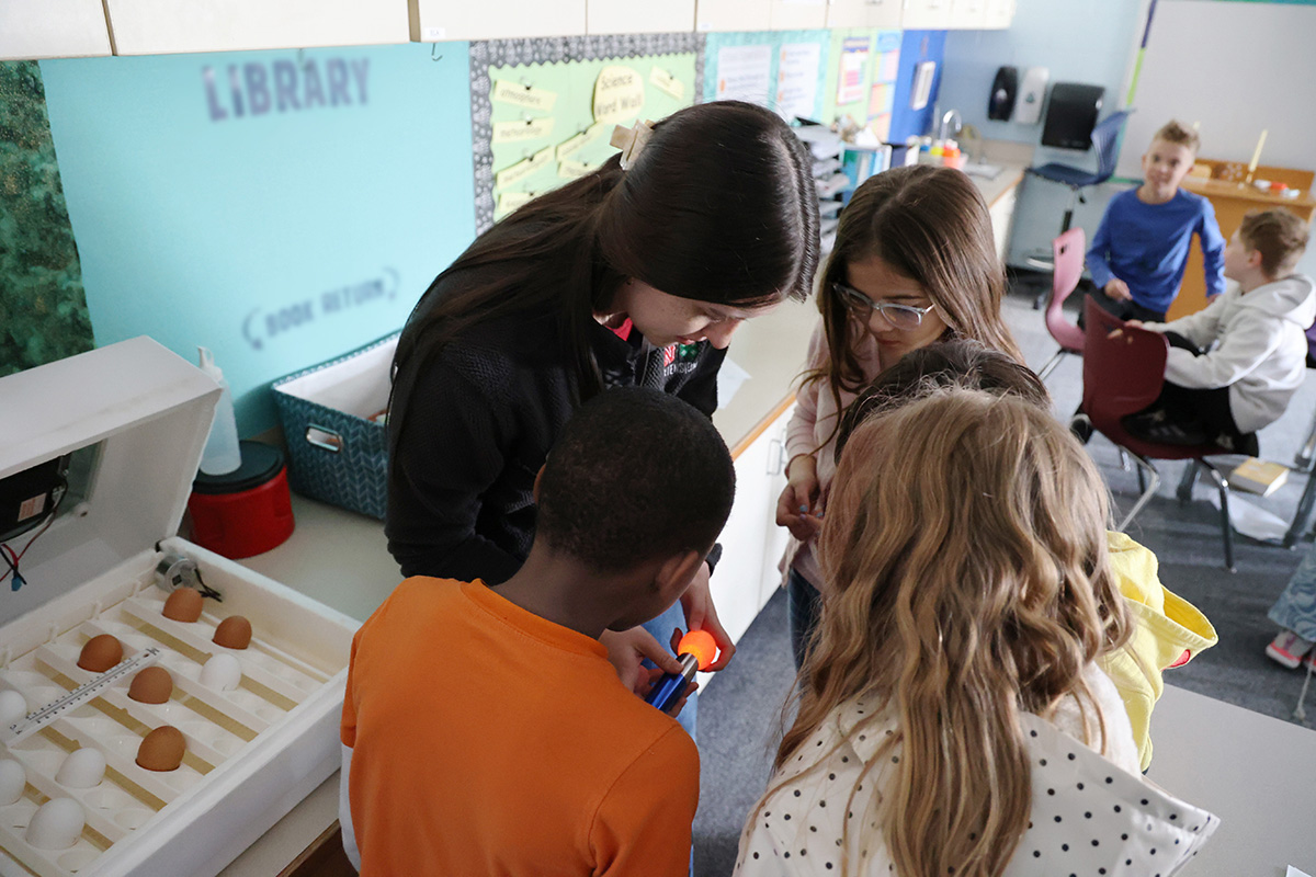 Embryology Candling Trinity Lutheran - 04 adj 1200.jpg