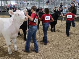 Beef Show at Super Fair 2025_17 1200.jpg