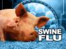 H3N2 Swine Flu