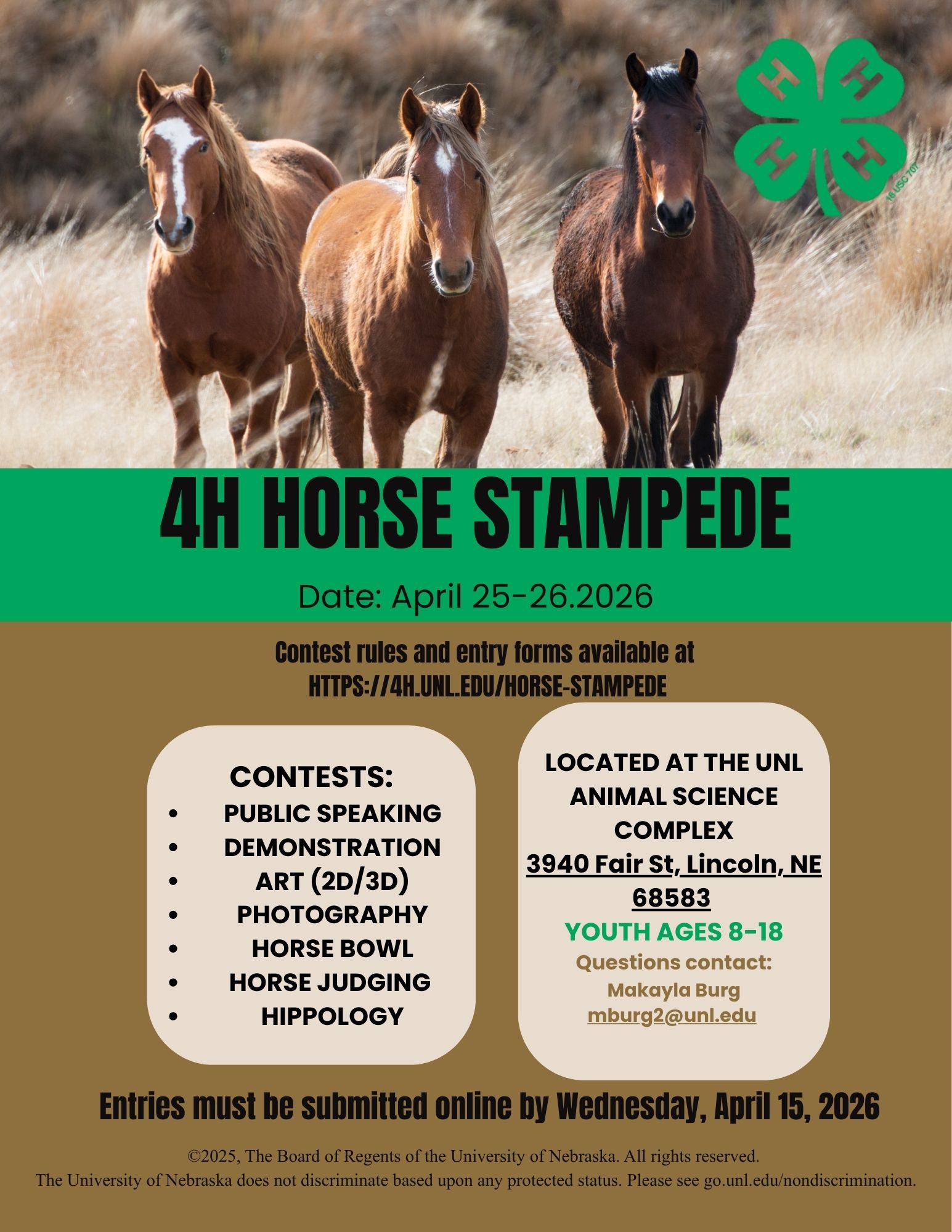 4H HORSE STAMPEDE(1).jpg