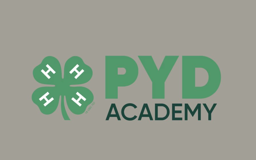PYD Academy Beyond Ready Series 2026