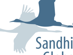 Sandhills Global