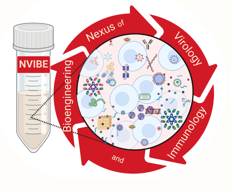 NVIBE: Nexus of Virology, Immunology and Bioengineering
