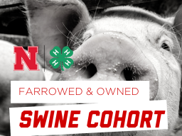2026 Swine Cohort.png