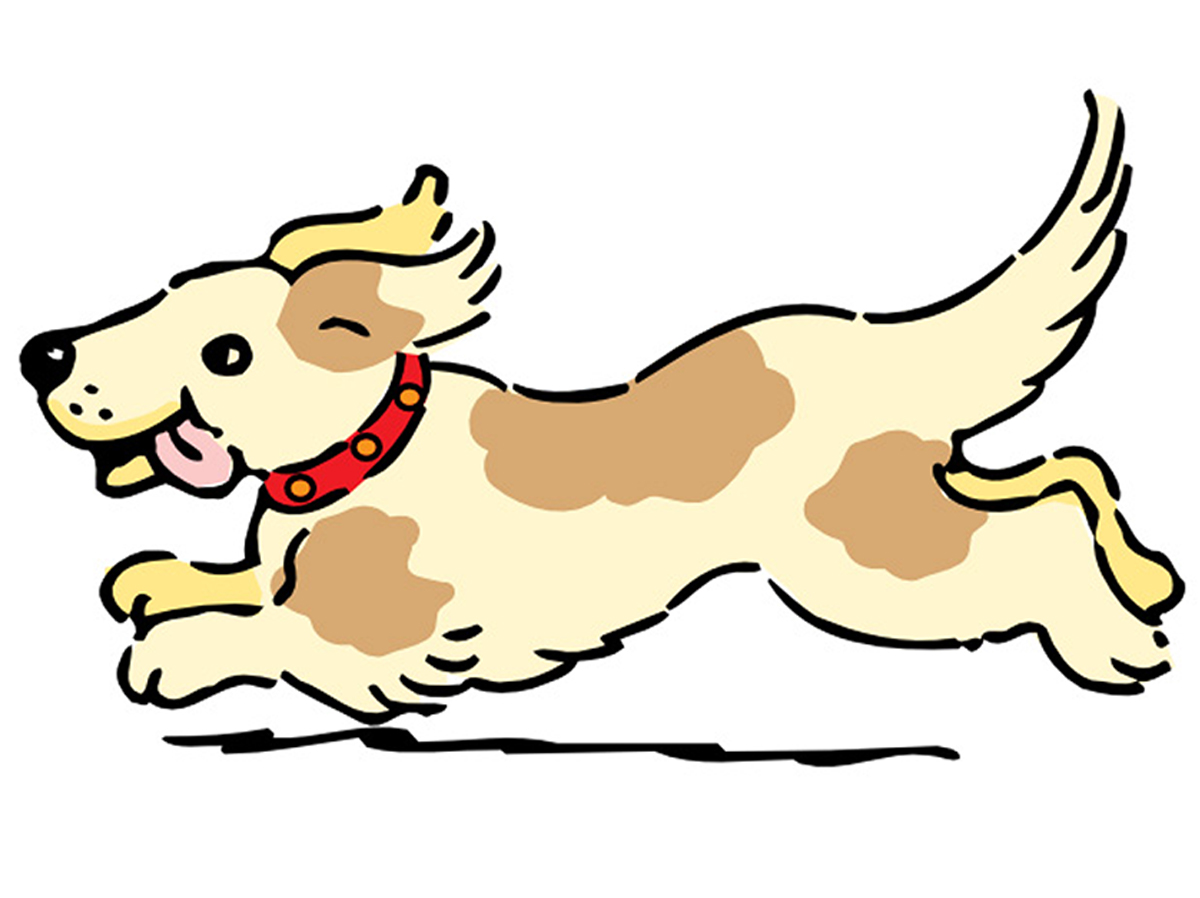 Dog Workshop Graphic 24.jpg