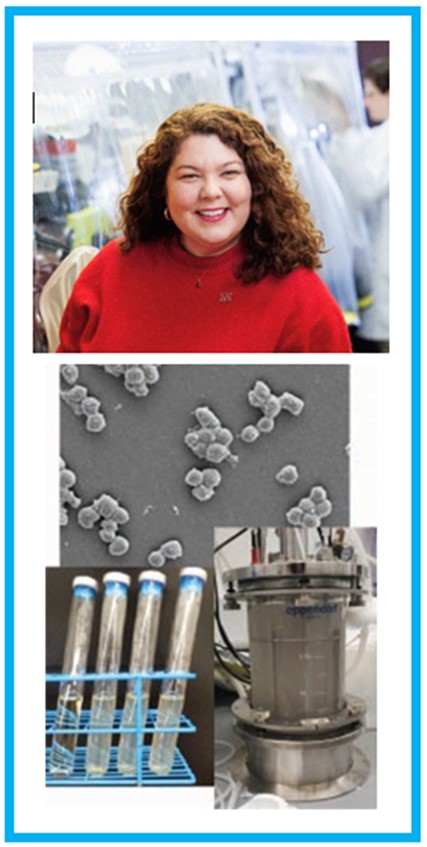Top photo: Nicole Buan, Professor of Biochemistry.  Bottom photo with three images: See last paragraph of article for caption.