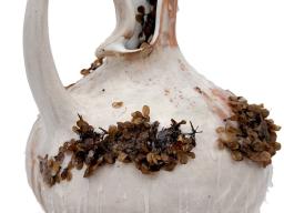 Marina Kushner, “reaching within,” ceramic, wax and found foliage, 2025.