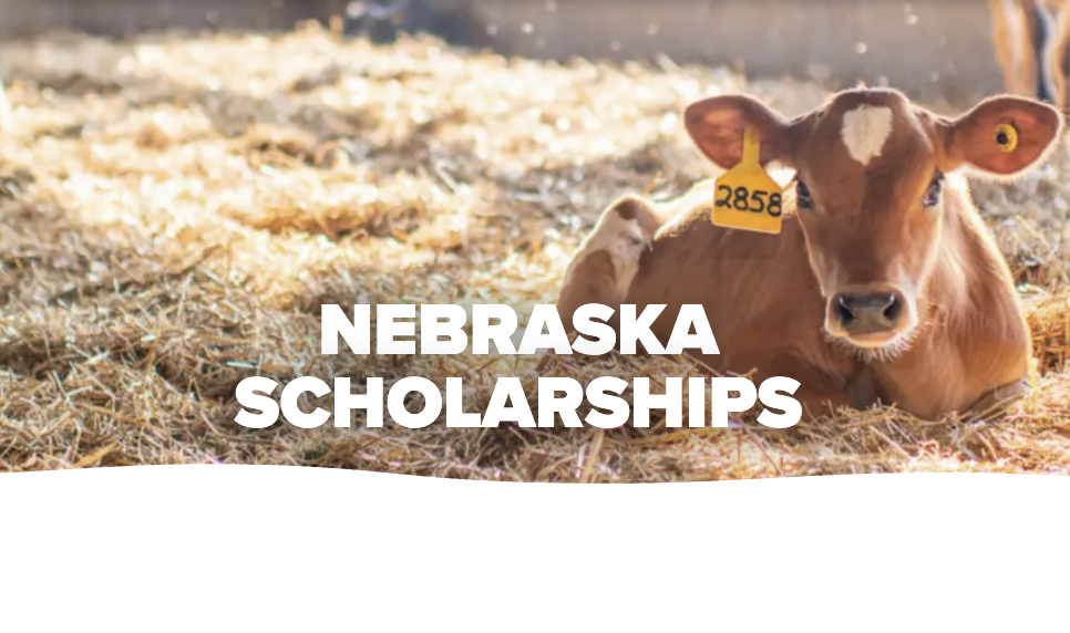 Midwest Dairy Nebraska Scholarship Application