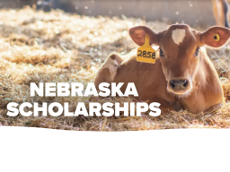 Midwest Dairy Nebraska Scholarship Application