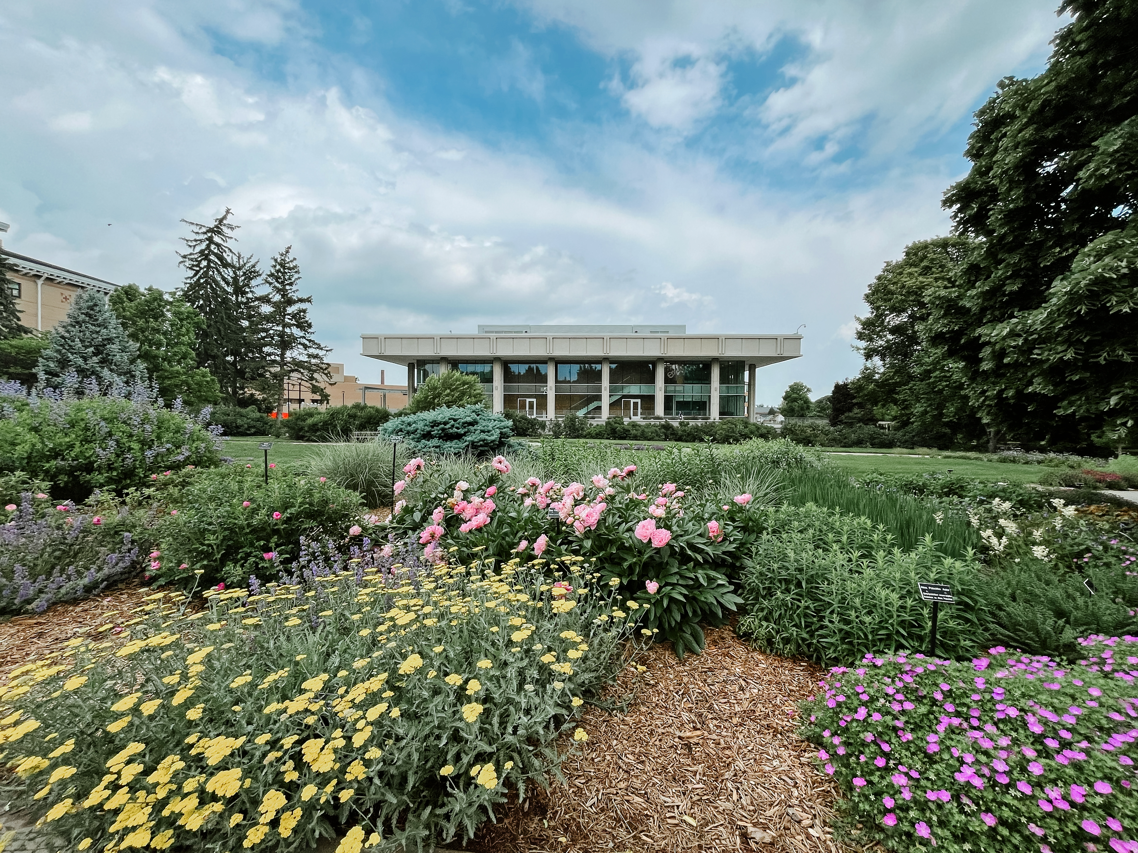 Celebrate Dinsdale's 5th Anniversary with us!  (photo by Craig Chandler)