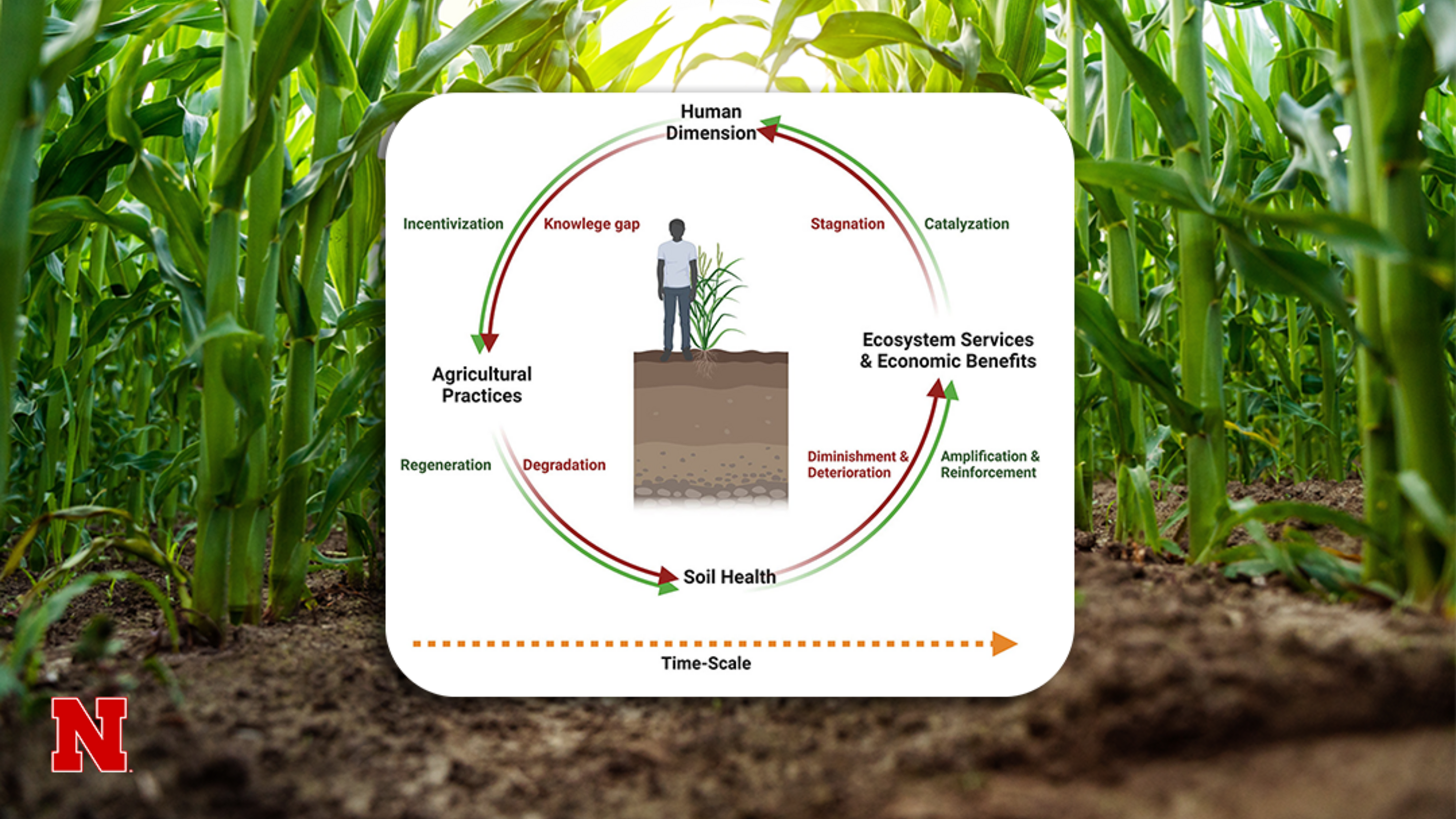 Soil health isn&rsquo;t just about soil. A new framework shows how people, decisions and patience play a critical role in long-term outcomes.
