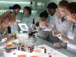 Collaboration to Combat Crime NSF Research Experience flyer with description of experience and images of students conducting labs.