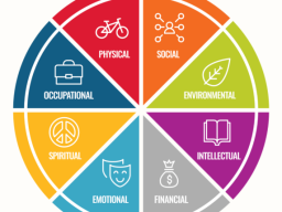 8 Dimensions of Well-Being