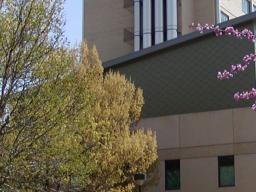 Hardin Hall in the Spring