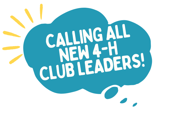 4H-Volunteer-Connection_email-banner _1_.png
