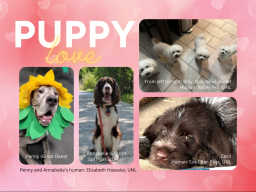 Thank you to Elizabeth Hasseler, Bailey Feit and Sue Ellen Page for sending in pet photos!