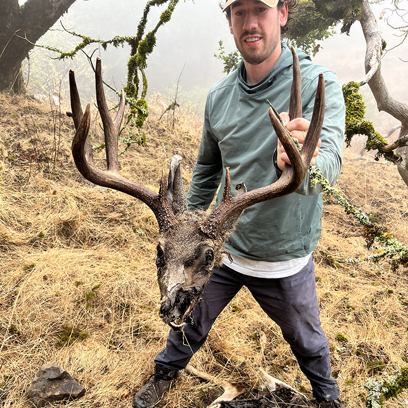 Harvey holds up the remains of a black-tailed deer, one of 628 found at suspected feeding sites investigated across the North Bay study area. Photo courtesy of True Wild and Audubon Canyon Ranch