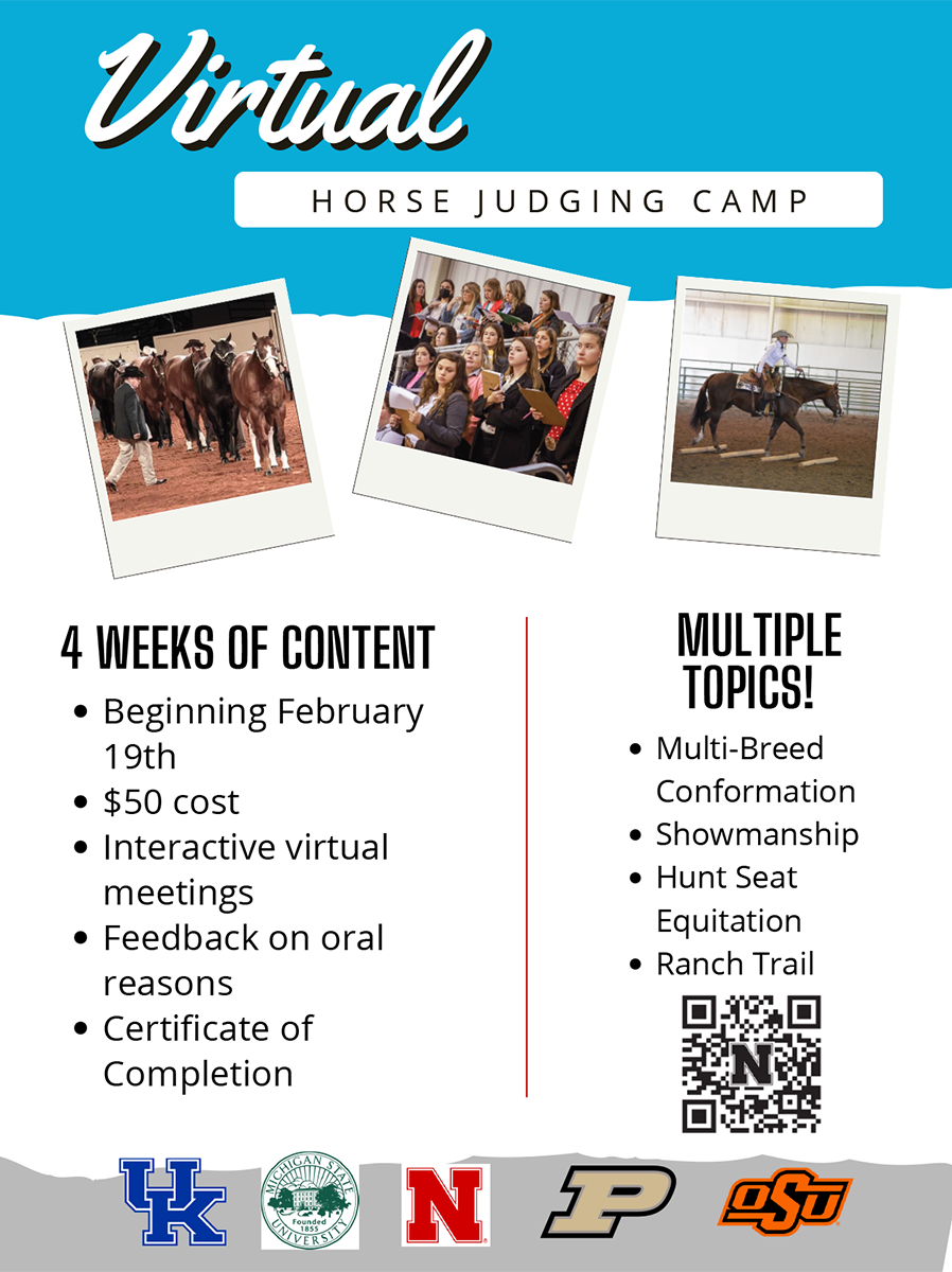 Horse Judging Virtual 2026.png