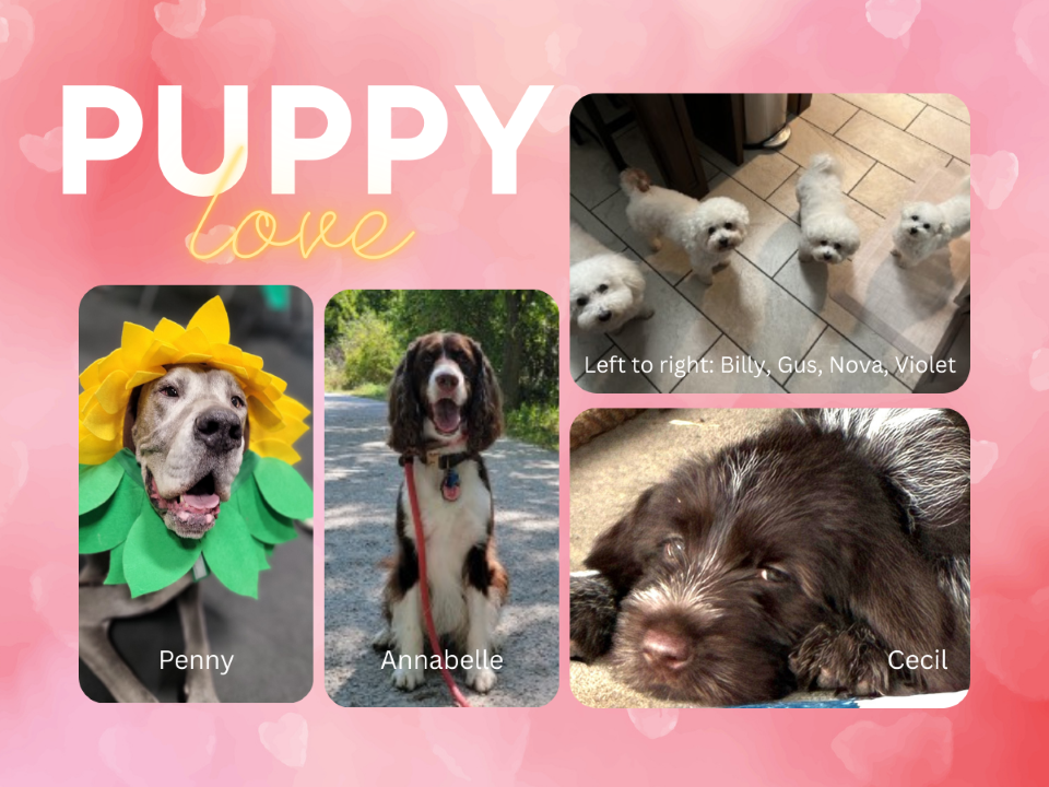 Thank you to Elizabeth Hasseler, Bailey Feit and Sue Ellen Page for sending in pet photos!