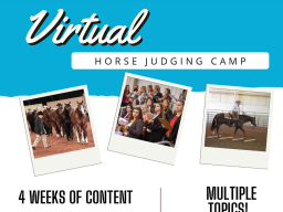 Horse Judging Virtual 2026.png