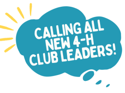 4H-Volunteer-Connection_email-banner _1_.png