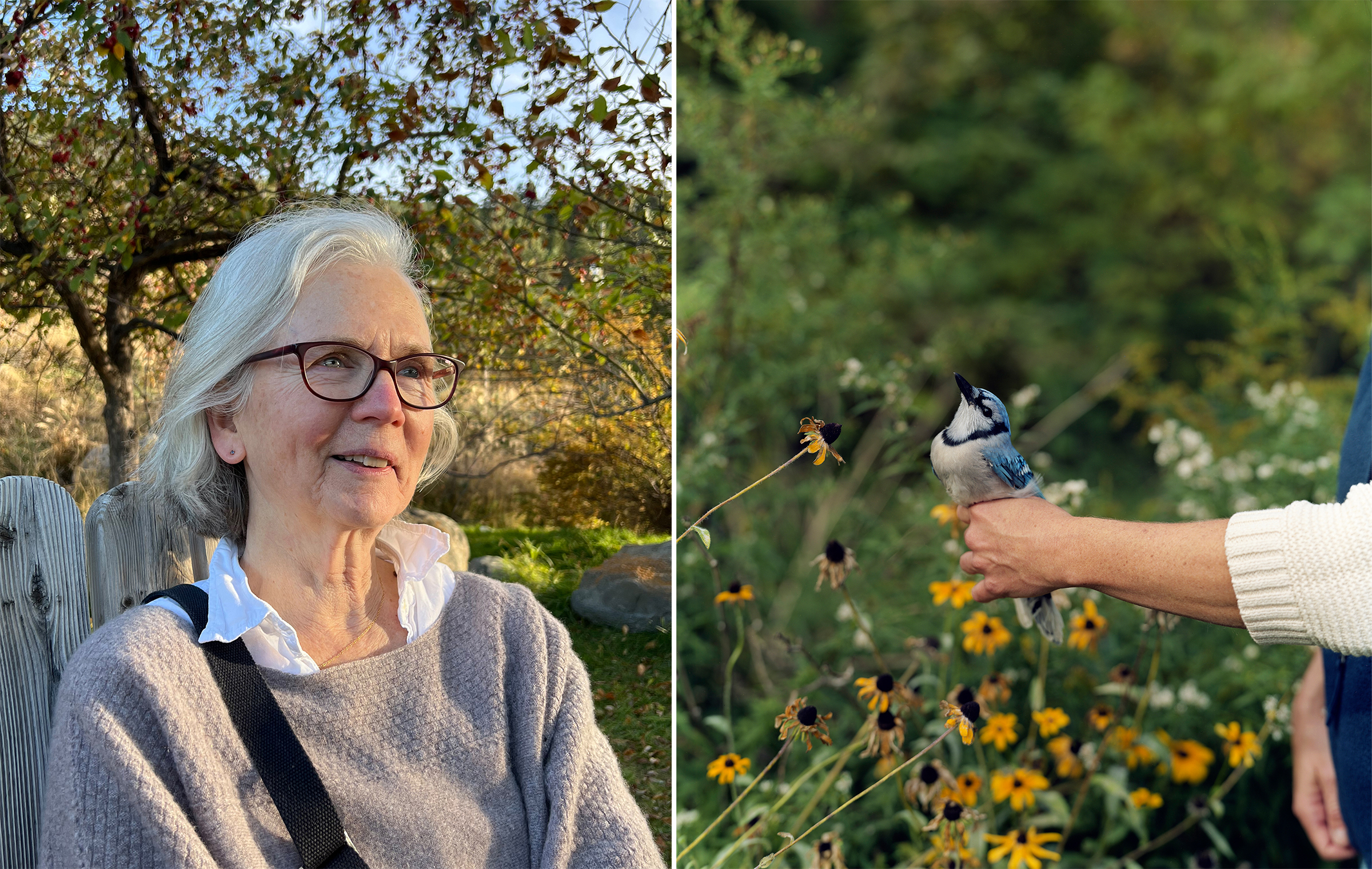 Left: Barbara Bosworth. Right: Barbara Bosworth, “Blue Jay,” 2002, from “Birds and Other Angels.”