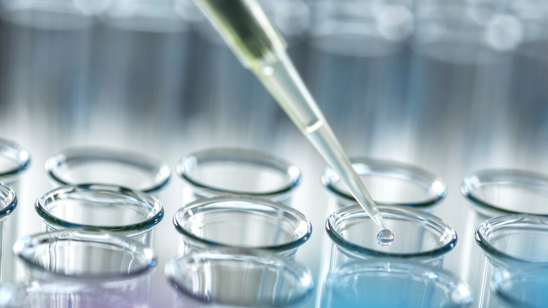 An additional ten University of Nebraska&ndash;Lincoln students, including School of Computing students Ruby Gutzmann and Kiera Chan, will now participate in research with a faculty mentor during the spring semester.