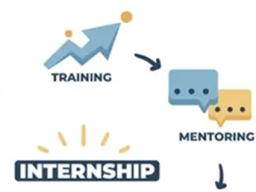 Key internship experiences.