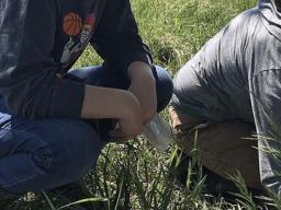 One of the Cabela's project