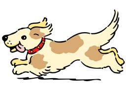 Dog Workshop Graphic 24.jpg