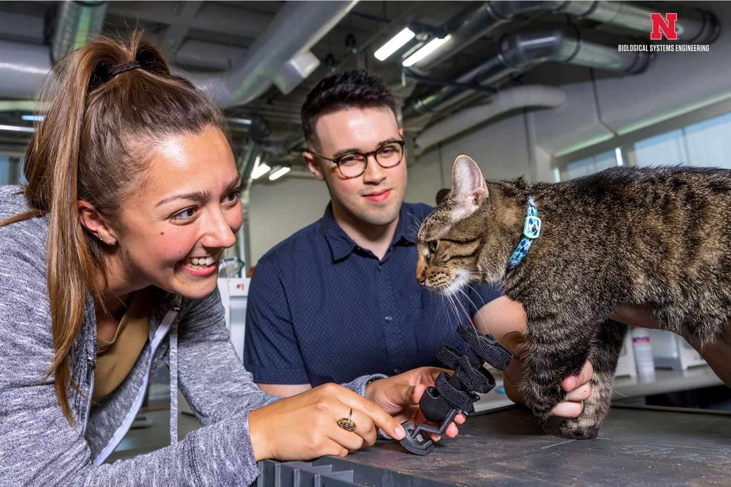 Biological systems engineering students pose with their capstone senior design project: a custom prosthetic developed to improve mobility for a cat at the Beatrice Humane Society&mdash;an example of engineering solutions making a real-world impact.