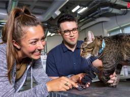 Biological systems engineering students pose with their capstone senior design project: a custom prosthetic developed to improve mobility for a cat at the Beatrice Humane Society&mdash;an example of engineering solutions making a real-world impact.