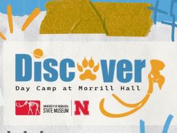 Discover Day Camp Flyer