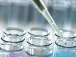 An additional ten University of Nebraska&ndash;Lincoln students, including School of Computing students Ruby Gutzmann and Kiera Chan, will now participate in research with a faculty mentor during the spring semester.