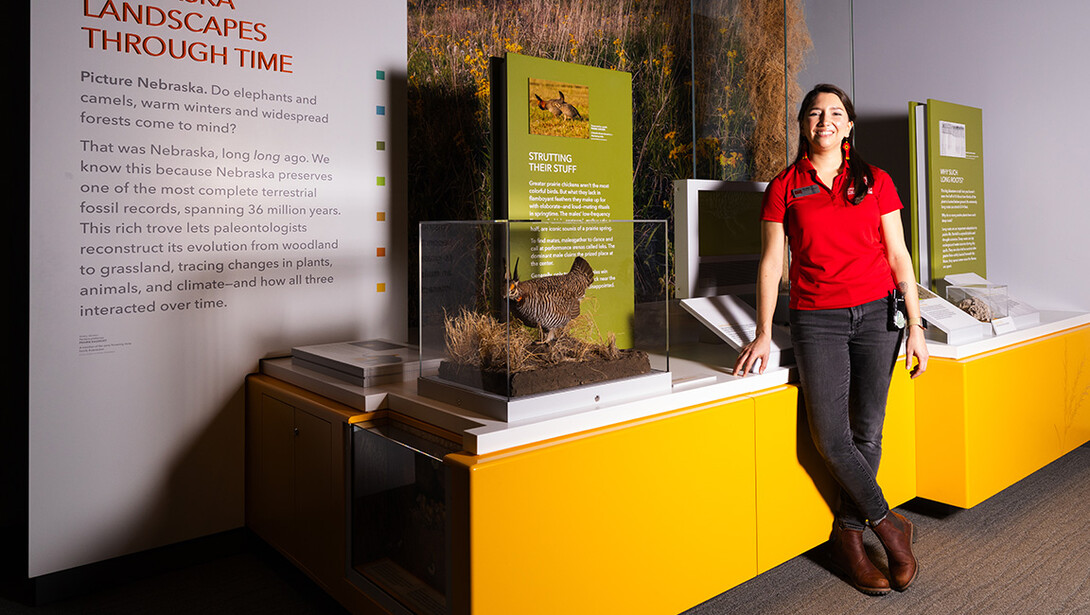 Ann Spilker, extended learning coordinator at the University of Nebraska State Museum, stands next to the Nebraska prairie display on the fourth floor of Morrill Hall. Liz McCue | University Communication and Marketing