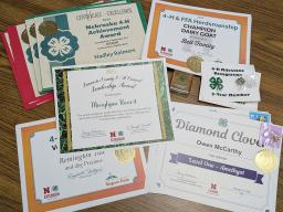 Some of the awards leftover from 2026 4-H Achievement Celebration