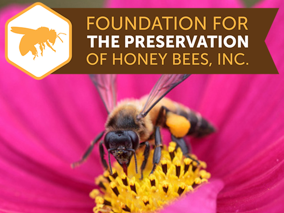 Foundation for the Preservation of Honey Bees logo and photo