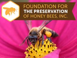 Foundation for the Preservation of Honey Bees logo and photo