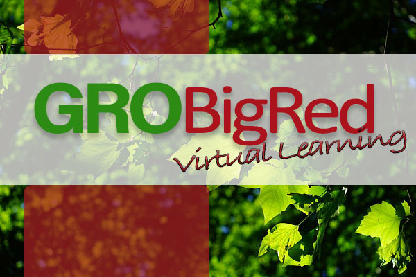 GRO Big Red Virtual Learning graphic