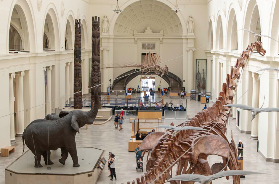 The Field Museum