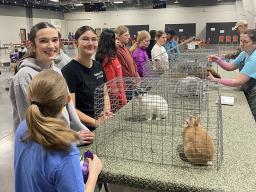4-H Spring Rabbit Show in 2025