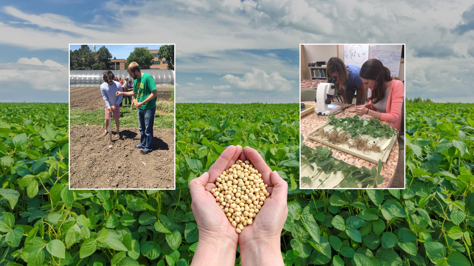 2026 Summer Soybean Institute (Image source: UNL Department of Agronomy and Horticulture)
